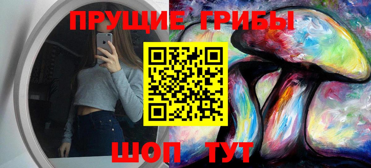 Псилоцибиновые грибы GOLDEN TEACHER  Вход с VPN  Кудрово 